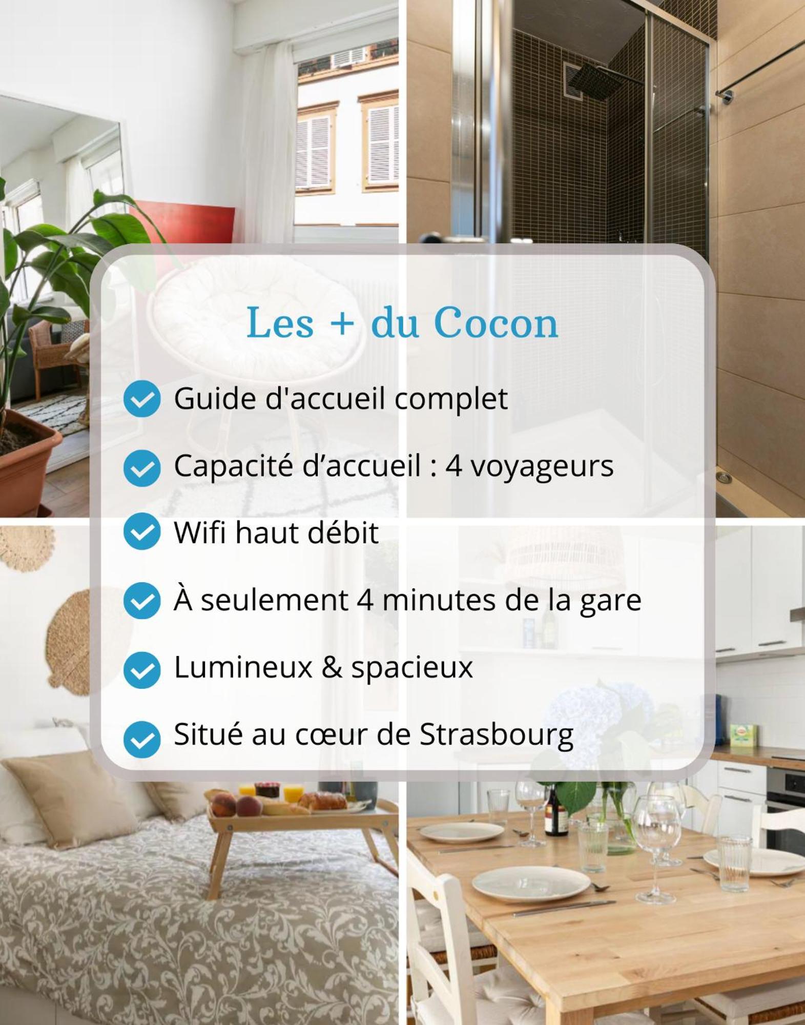 Le Cocon - Proche Gare - Lumineux & Centre Ville - Commerces A Proximite Strasbourg Eksteriør billede