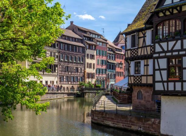 Le Cocon - Proche Gare - Lumineux & Centre Ville - Commerces A Proximite Strasbourg Eksteriør billede
